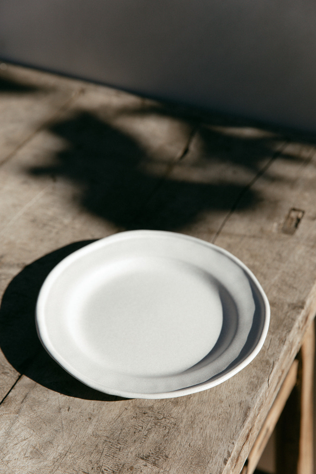 Set of 6 Salad Plates (available in 5 color ways)